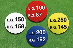 631A