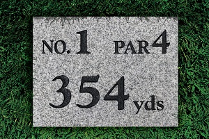 442A1